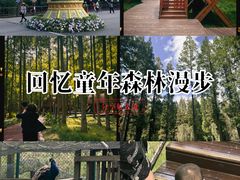 -黄海国家森林公园