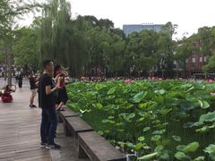 -四川大学(望江校区)