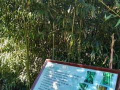 -大连植物园