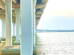 -宝安西湾红树林湿地公园