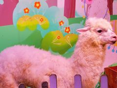 -正佳雨林生态植物园