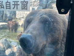 -北京野生动物园