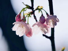 -静安雕塑公园