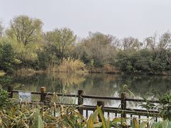 -溱湖国家湿地公园