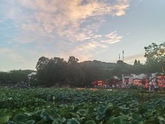 -环秀楼(黄山呈坎店)