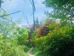 -桤木河湿地公园