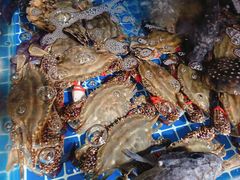 -77号渔船·蒸海鲜青岛菜(积米崖店)