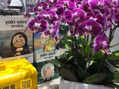 -雅克雅思(南湖东路店)