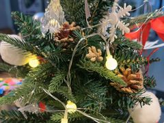 -梵猫·新养生(福州万象城店)