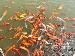 -春晖园度假酒店温泉