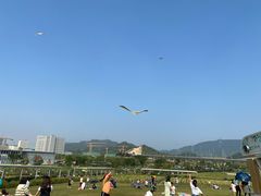 -光明小镇欢乐田园