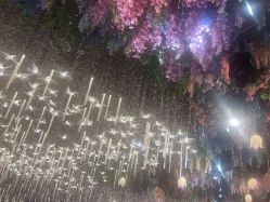 -花嫁丽舍婚礼殿堂(世博江景店)