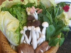 -小天鹅火锅·一线江景洪鼎旗舰店(洪崖洞店)