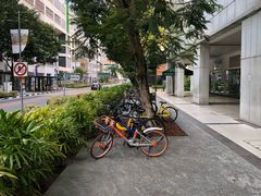 -纽顿熟食中心