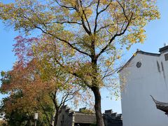 -徐家鸭子·非遗烤鸭(老门东店)