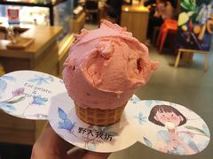 -野人先生现做冰淇淋(西安赛格店)