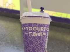 -一只酸奶牛(洪崖洞11楼店)