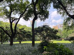 -静安公园(静安寺街道)