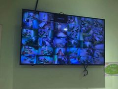 -学知乐教育·幼小衔接·小学科辅导(嘉定镇校区)