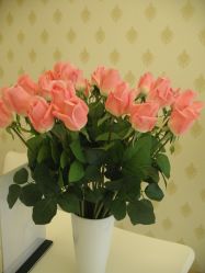 -悦芳庭美肤美体品牌集合店