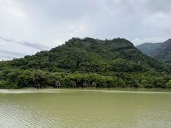 -芳草地度假酒店·野炉中餐厅