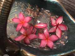 -西双版纳融创皇冠假日度假酒店