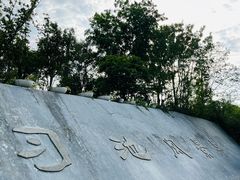 -习家池