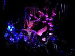 -奥兰多迪士尼动物王国乐园