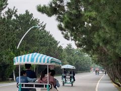 -日照海滨国家森林公园