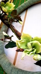 -芳朵美容养生SPA