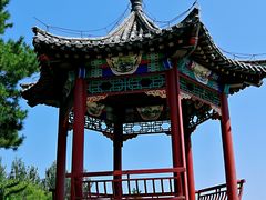 -大兴滨河森林公园