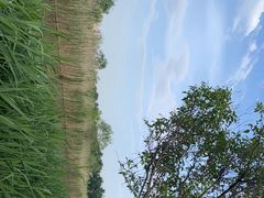 -处女泉风景名胜区