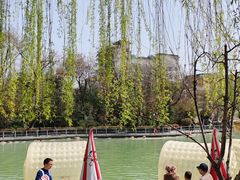 -莲湖公园
