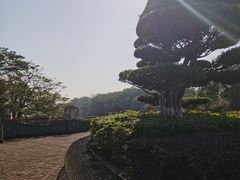 -厦门园林博览苑