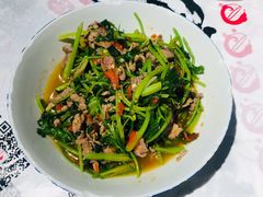 -壹盏灯(惠农店)
