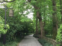 -西湖游船
