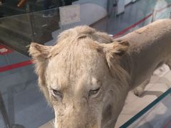 -太原动物园