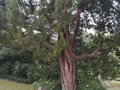 -上海虹桥迎宾馆