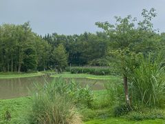 -桤木河湿地公园