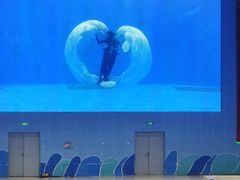 -石家庄极地海洋世界