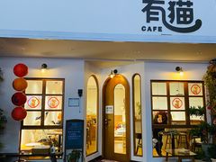 -有猫主题·治愈系猫咖(曾厝垵店)