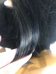 点击看大图 -程Studio