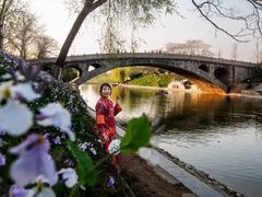 -赵州桥景区