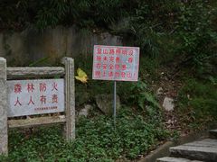 -火炉山森林公园