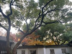 -墅园
