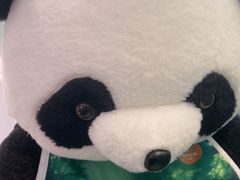 -眉州东坡·熊猫主题餐厅(枫蓝店)
