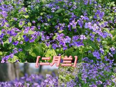 -南山风景名胜区