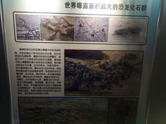 -诸城市恐龙博物馆