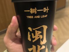 -一树一叶·福建茶档(石鼓路店)