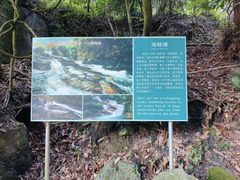 -黄山翡翠谷景区